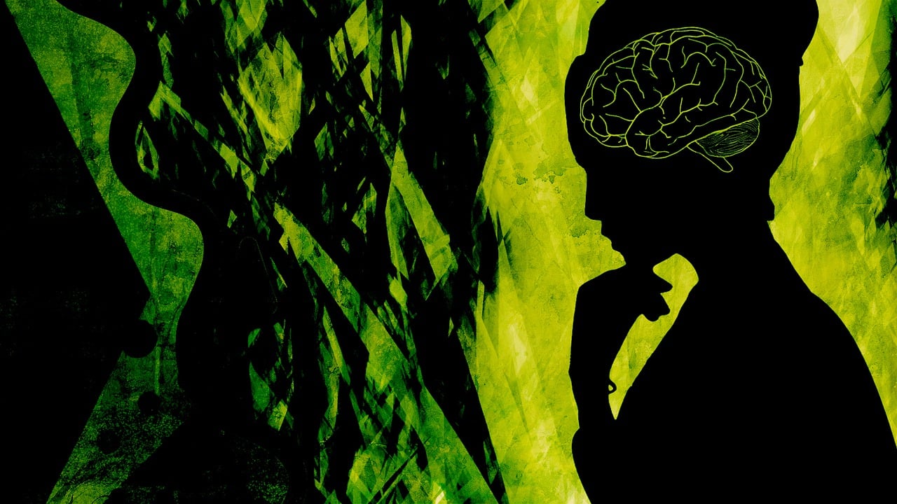 Trauma Survivors: Caring and Healing in the Face of Chronic Pain